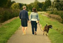 Supporting Healthy Habits in Later Stages of Life Walking