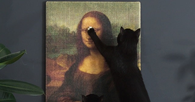 How To Stop Your Cat From Scratching Your Furniture At Home Ok