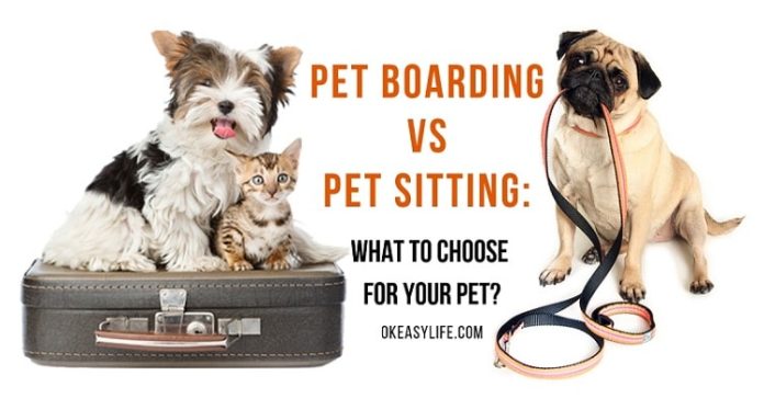 Pet Boarding vs Pet Sitting
