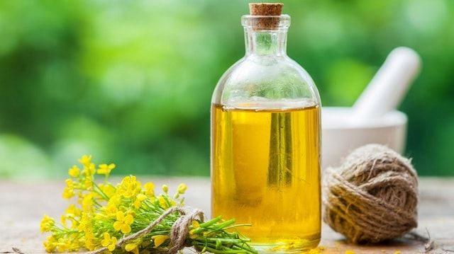 6 Cooking oil that can help you to Lose Weight - OK Easy Life