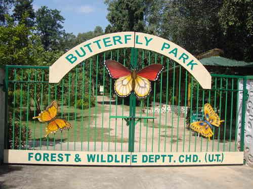 butterfly park chandigarh