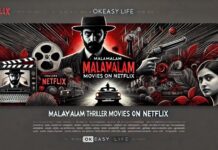 Top 17 Malayalam Thriller Movies on Netflix That Will Keep You Hooked Malayalam thriller movies on Netflix-min