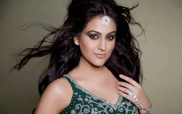 Top 10 Sindhi Web Series Actresses Name List with Photos 6 Aksha Pardasany